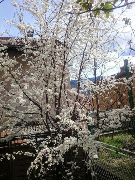 Spacious Near Bascarsija - Free Parking Daire Saraybosna